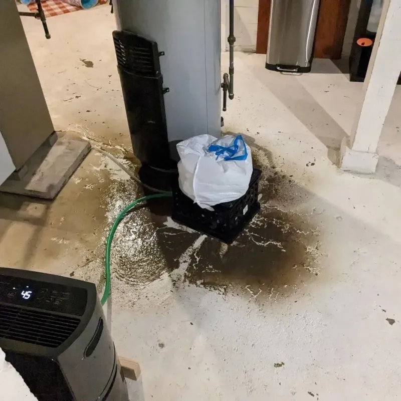 Sewage Backup Cleanup Service in Frazier Park, CA